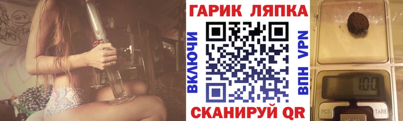 Купить  Медынь  ГАШ Изолятор 