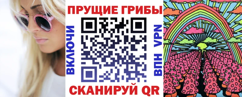 Купить  Медынь  Галлюциногенные грибы Psilocybe 